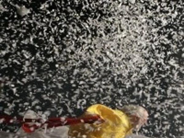 Slava's Snowshow