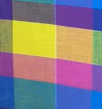 Madras Day à Nanterre : la rencontre des cultures s’invite au cœur du 92