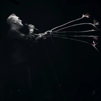 Morrissey