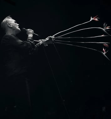 Morrissey