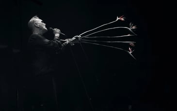 Morrissey