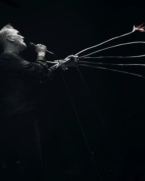 Morrissey