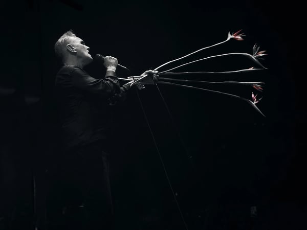 Morrissey