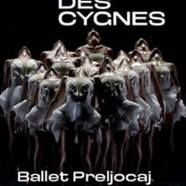 Le Lac des Cygnes, Ballet Preljocaj