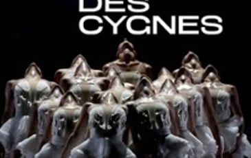 Le Lac des Cygnes, Ballet Preljocaj