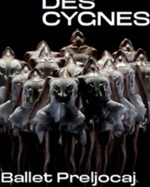 Le Lac des Cygnes, Ballet Preljocaj