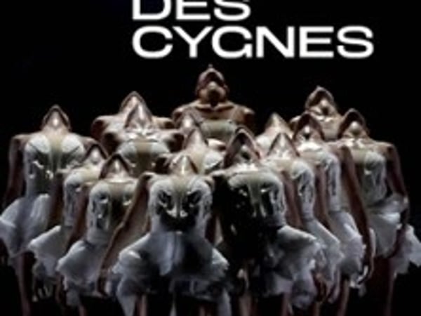 Le Lac des Cygnes, Ballet Preljocaj
