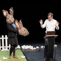 Le problème lapin, cartographie 7