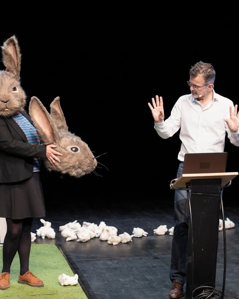 Le problème lapin, cartographie 7