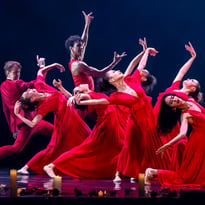 Carmen, le Ballet