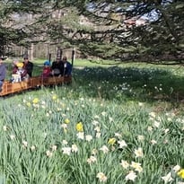 Le petit train dans la prairie des Fiancés