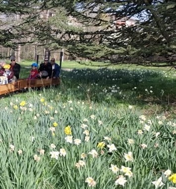 Le petit train dans la prairie des Fiancés