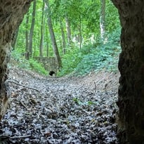 Visite du réseau hydraulique du domaine royal de Meudon en forêt de Meudon