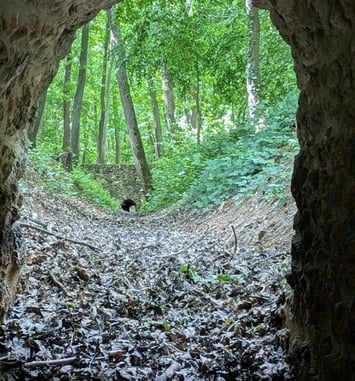 Visite du réseau hydraulique du domaine royal de Meudon en forêt de Meudon