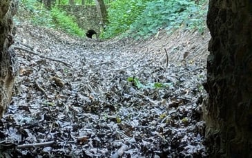 Visite du réseau hydraulique du domaine royal de Meudon en forêt de Meudon