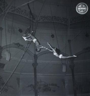 Suzanne : Une Histoire du Cirque
