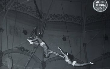 Suzanne : Une Histoire du Cirque