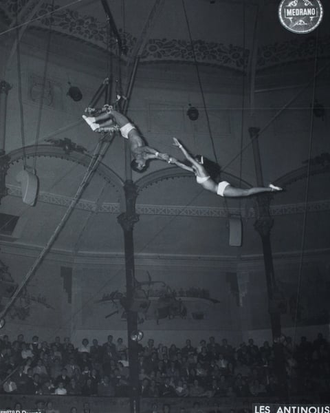 Suzanne : Une Histoire du Cirque