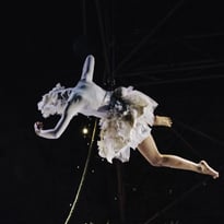 Le Petit Cirque