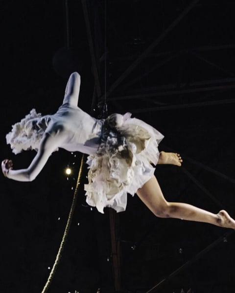 Le Petit Cirque