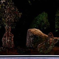 Vivarium