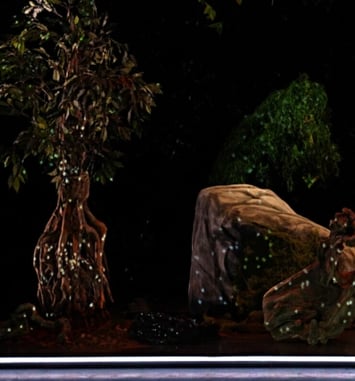 Vivarium