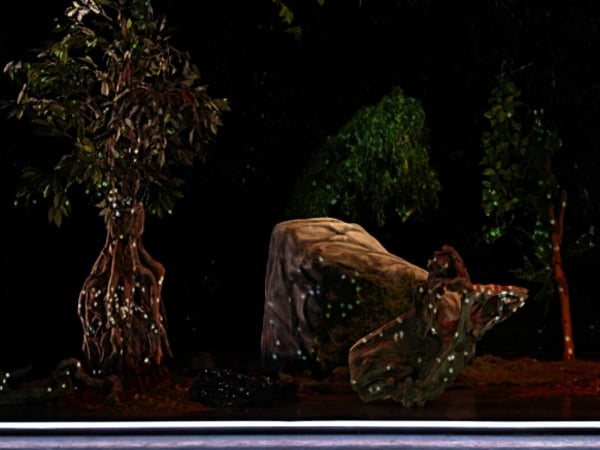 Vivarium