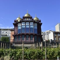 Visite guidée des vignes de Courbevoie