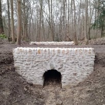 Les vestiges oubliés du bois de Chaville