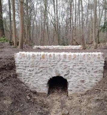 Les vestiges oubliés du bois de Chaville