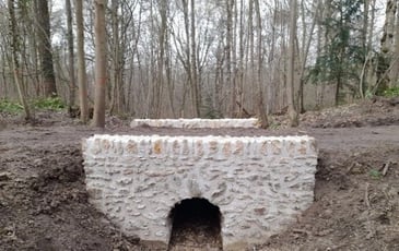 Les vestiges oubliés du bois de Chaville