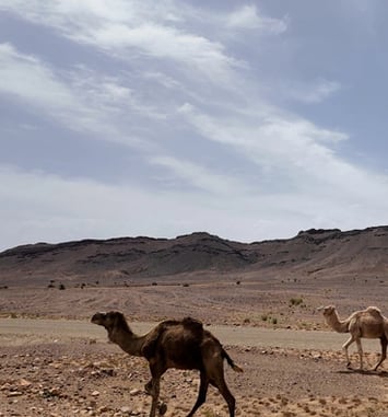 Récit de voyage : du Sahara à la France avec l'énergie solaire