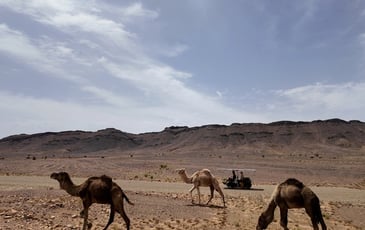 Récit de voyage : du Sahara à la France avec l'énergie solaire
