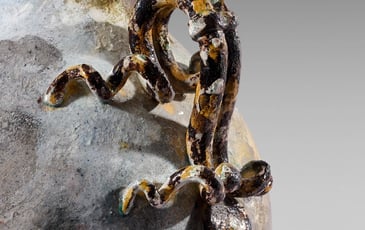 Visite de la Collection des céramiques de François Laurin