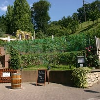 Visites guidées du Chemin des vignes