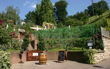 Visites guidées du Chemin des vignes