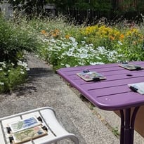 Atelier Cyanotype