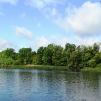 Découverte de l'Observatoire de la Réserve Naturelle Régionale du Bassin de la Bièvre
