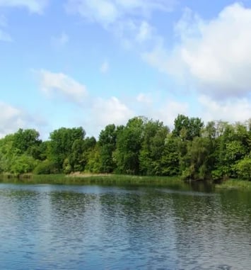 Découverte de l'Observatoire de la Réserve Naturelle Régionale du Bassin de la Bièvre