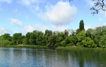 Découverte de l'Observatoire de la Réserve Naturelle Régionale du Bassin de la Bièvre