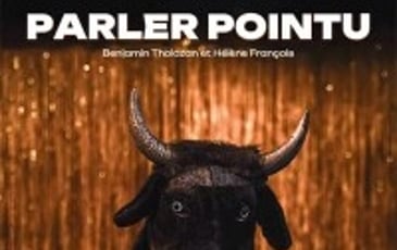 Parler Pointu
