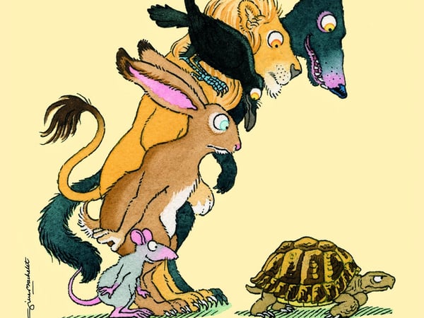 Et la tortue dans tout ça ?