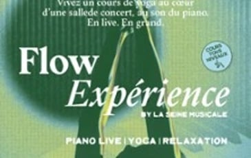 Flow Expérience