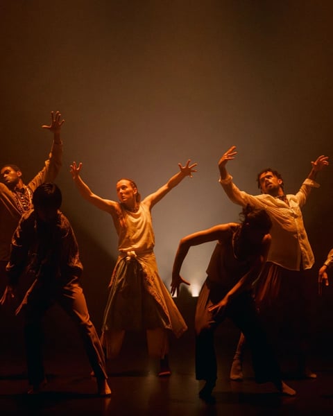 In the Brain, spectacle de Hofesh Shechter