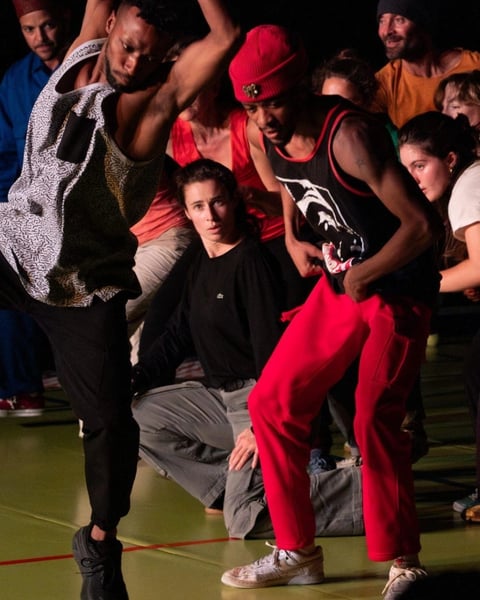 Des Danses et des Luttes